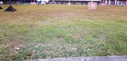 Binjai Park (D21), Detached #599662451